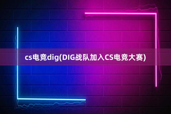 cs电竞dig(DIG战队加入CS电竞大赛)