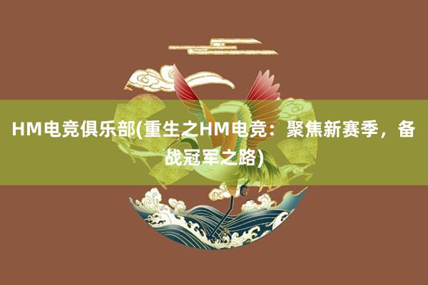 HM电竞俱乐部(重生之HM电竞：聚焦新赛季，备战冠军之路)