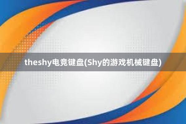 theshy电竞键盘(Shy的游戏机械键盘)