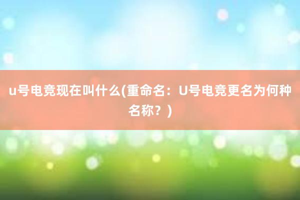 u号电竞现在叫什么(重命名：U号电竞更名为何种名称？)