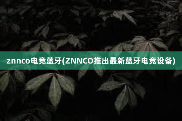 znnco电竞蓝牙(ZNNCO推出最新蓝牙电竞设备)