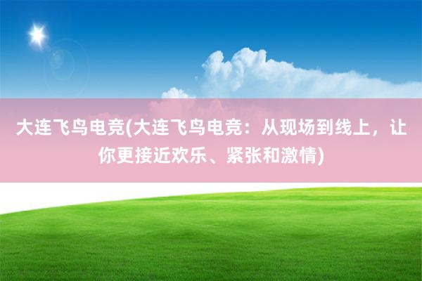 大连飞鸟电竞(大连飞鸟电竞：从现场到线上，让你更接近欢乐、紧张和激情)