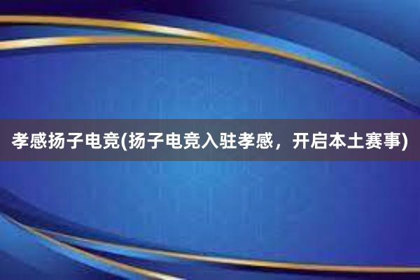 孝感扬子电竞(扬子电竞入驻孝感，开启本土赛事)