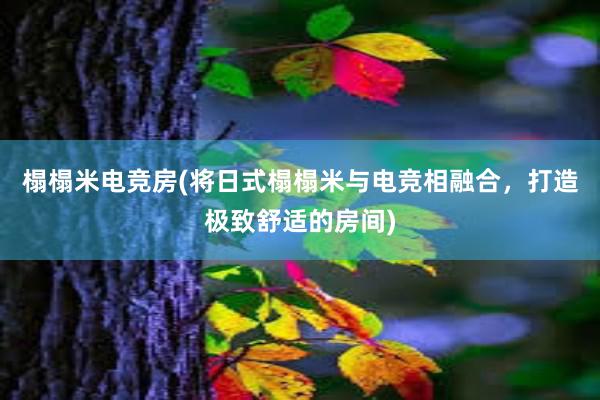 榻榻米电竞房(将日式榻榻米与电竞相融合，打造极致舒适的房间)