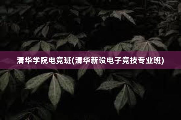 清华学院电竞班(清华新设电子竞技专业班)