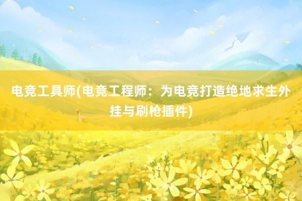 电竞工具师(电竞工程师：为电竞打造绝地求生外挂与刷枪插件)