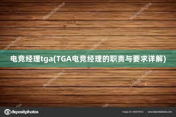 电竞经理tga(TGA电竞经理的职责与要求详解)