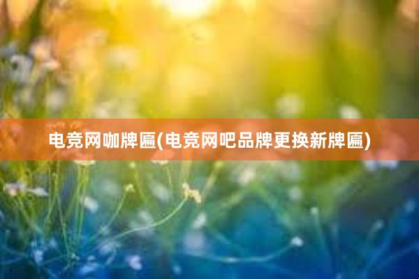 电竞网咖牌匾(电竞网吧品牌更换新牌匾)