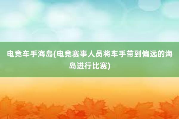 电竞车手海岛(电竞赛事人员将车手带到偏远的海岛进行比赛)