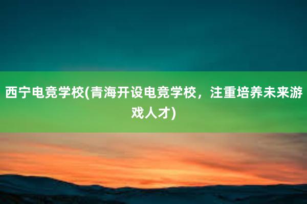 西宁电竞学校(青海开设电竞学校，注重培养未来游戏人才)