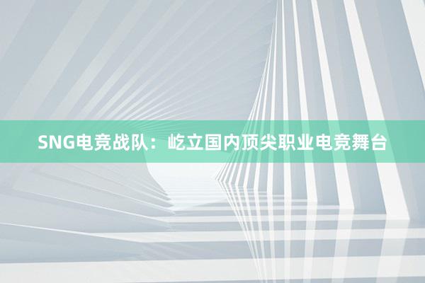 SNG电竞战队：屹立国内顶尖职业电竞舞台