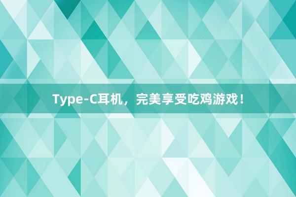 Type-C耳机，完美享受吃鸡游戏！