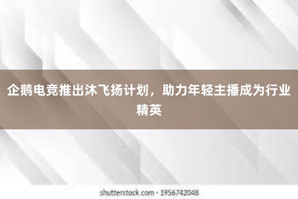 企鹅电竞推出沐飞扬计划，助力年轻主播成为行业精英