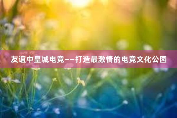 友谊中皇城电竞——打造最激情的电竞文化公园