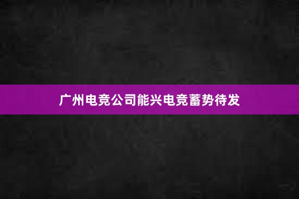 广州电竞公司能兴电竞蓄势待发