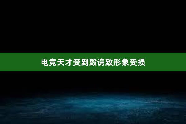 电竞天才受到毁谤致形象受损