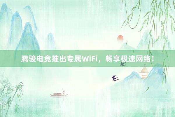 腾骏电竞推出专属WiFi，畅享极速网络！