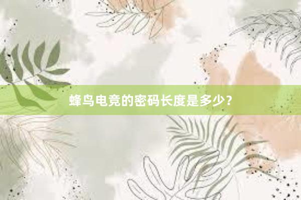 蜂鸟电竞的密码长度是多少？