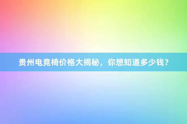 贵州电竞椅价格大揭秘，你想知道多少钱？